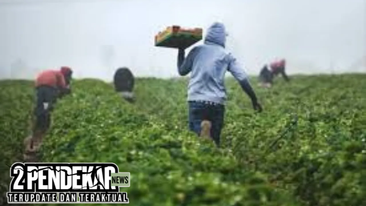 Tips Berbisnis di Daerah Perbukitan 2026: Strategi Cerdas Menembus Pasar Lokal