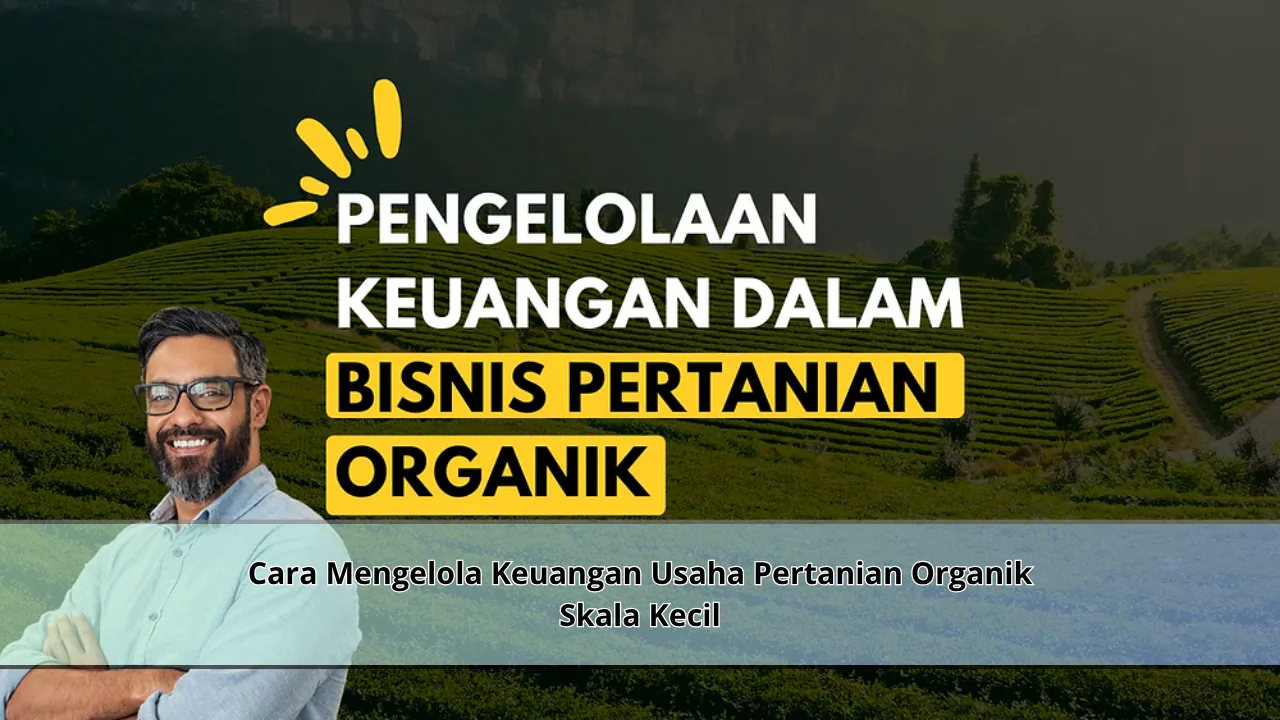 Cara Mengelola Keuangan Usaha Pertanian Organik Skala Kecil